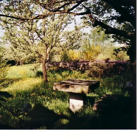 Refugium In Im Unesco-biospharen-reservat Rhon Ferienhaus