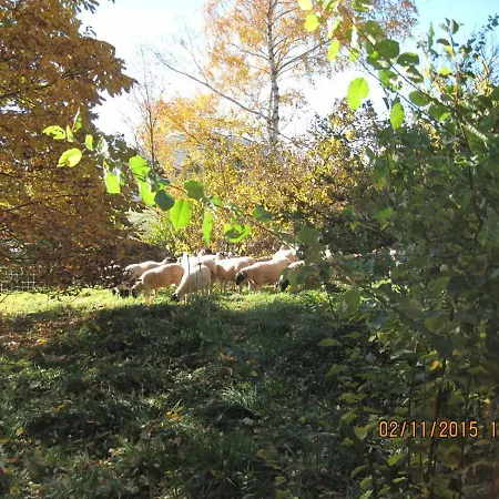 Refugium In Im Unesco-biospharen-reservat Rhon * Gersfeld